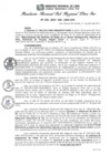 Vista preliminar de documento RGSRLS Nº256-2014