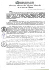 Vista preliminar de documento RGSRLS Nº272-2014