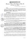 Vista preliminar de documento RGSRLS Nº306-2014