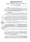 Vista preliminar de documento RGSRLS Nº312-2014