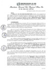 Vista preliminar de documento RGSRLS Nº331-2014