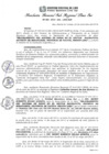 Vista preliminar de documento RGSRLS Nº334-2014