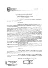 Vista preliminar de documento Resolución de  Alcaldía 462-19
