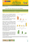 Vista preliminar de documento Boletín de Abastecimiento y Precios Mayoristas GMML y MM Nº 2 -05/05/21