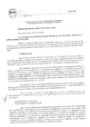 Vista preliminar de documento Resolución de  Alcaldía 537-19