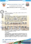 Vista preliminar de documento RESOLUCION DE ALCALDIA  N°0109-2021-MDA