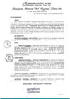Vista preliminar de documento RGSRLS N°391-2014