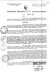 Vista preliminar de documento RD_0100.PDF