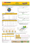 Vista preliminar de documento Boletín de volumen y precio de PAPA 10/05/21