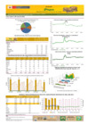 Vista preliminar de documento Boletín de volumen y precio de PAPA 11/05/21