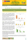 Vista preliminar de documento Boletín de Abastecimiento y Precios Mayoristas GMML y MM Nº 2 -12/05/21