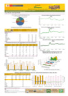 Vista preliminar de documento Boletín de volumen y precio de PAPA 12/05/21