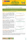 Vista preliminar de documento Boletín de Abastecimiento y Precios Mayoristas GMML y MM Nº 2 -13/05/21