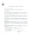Vista preliminar de documento Resolucion-de-Alcaldia-N263
