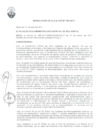 Vista preliminar de documento Resolucion-de-Alcaldia-N194