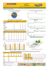 Vista preliminar de documento Boletín de volumen y precio de PAPA 14/05/21