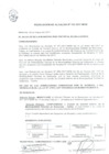 Vista preliminar de documento Resolucion-de-Alcaldia-N132