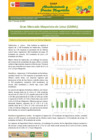 Vista preliminar de documento Boletín de Abastecimiento y Precios Mayoristas GMML y MM Nº 2 -17/05/21