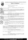 Vista preliminar de documento Resolución de Alcaldia 135-17