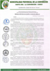 Vista preliminar de documento RA-260-2020-MPLC/A