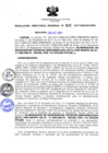 Vista preliminar de documento RDR_049_2017_OREI.pdf
