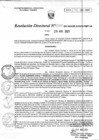 Vista preliminar de documento RD_0125.PDF