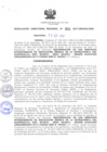 Vista preliminar de documento RDR_038_2017_OREI.pdf