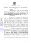 Vista preliminar de documento RDR_037_2017_OREI.pdf