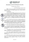 Vista preliminar de documento RGSRLS N°009-2015