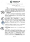 Vista preliminar de documento RGSRLS N°017-2015