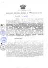 Vista preliminar de documento RDR_034_2017_OREI.pdf