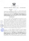 Vista preliminar de documento RDR_032_2017_OREI.pdf