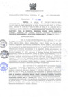 Vista preliminar de documento RDR_031_2017_OREI.pdf