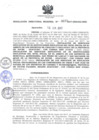Vista preliminar de documento RDR_030_2017_OREI.pdf
