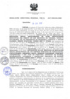 Vista preliminar de documento RDR_029_2017_OREI.pdf