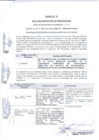 Vista preliminar de documento Acta de Presentación Propuestas Entidad Supervisora - Smelter - 2021
