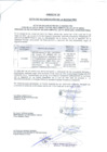 Vista preliminar de documento Acta Buena Pro Entidad Supervisora - Smelter - 2021