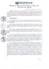 Vista preliminar de documento RGSRLS Nº115-2015