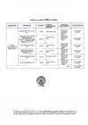 Vista preliminar de documento Anexo