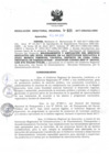 Vista preliminar de documento RDR_025_2017_OREI.pdf