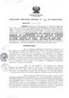 Vista preliminar de documento RDR_021_2017_OREI.pdf