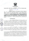 Vista preliminar de documento RDR_020_2017_OREI.pdf