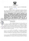 Vista preliminar de documento RDR_017_2017_OREI.pdf