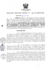 Vista preliminar de documento RDR_016_2017_OREI.pdf