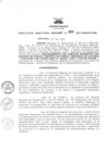 Vista preliminar de documento RDR_014_2017_OREI.pdf