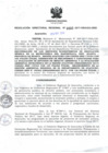 Vista preliminar de documento RDR_009_2017_OREI.pdf