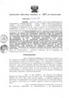 Vista preliminar de documento RDR_005_2017_OREI.pdf