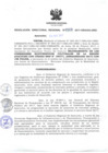 Vista preliminar de documento RDR_003_2017_OREI.pdf