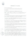 Vista preliminar de documento Ordenanza-017