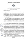 Vista preliminar de documento ROGA_202133
